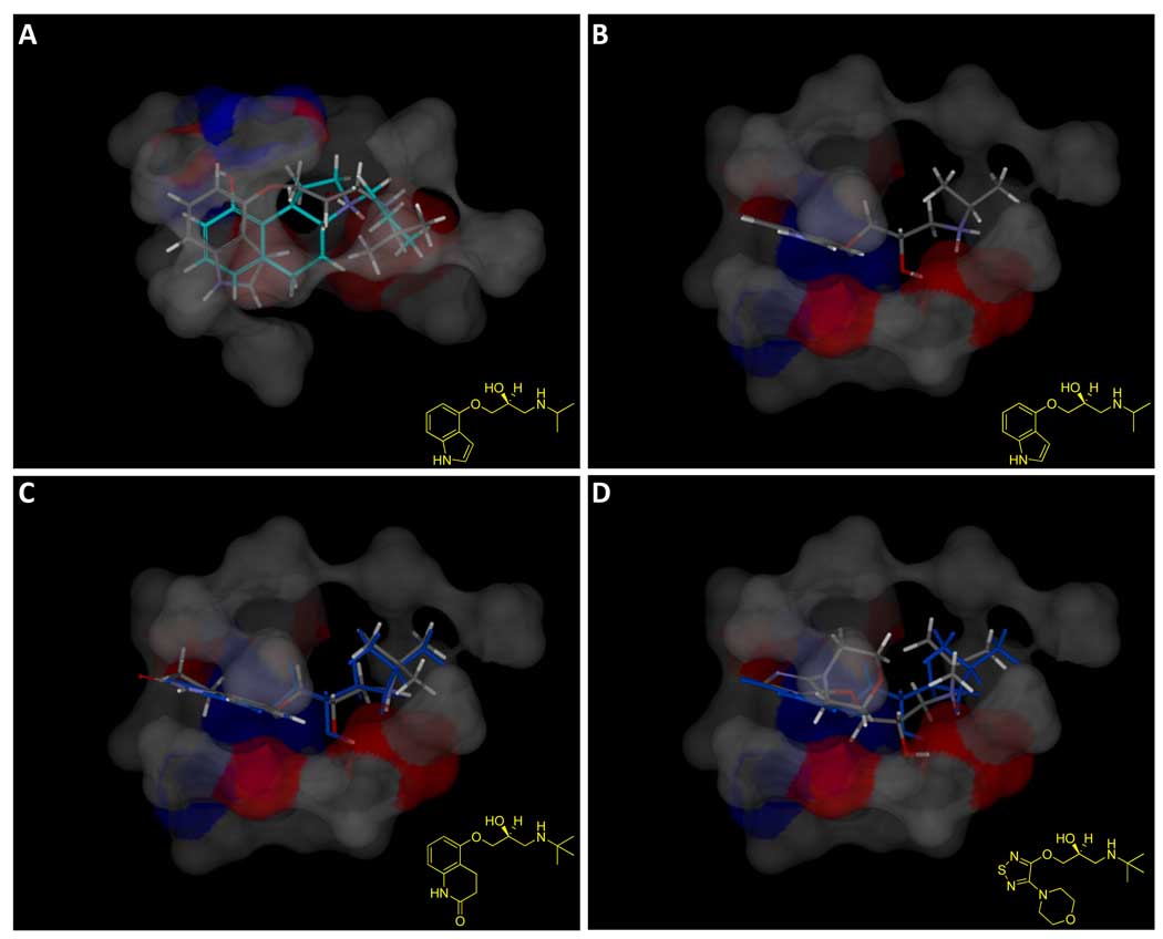 Figure 12