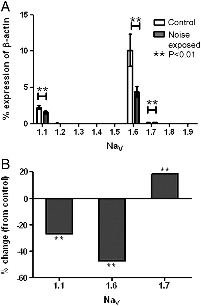 Fig. 5