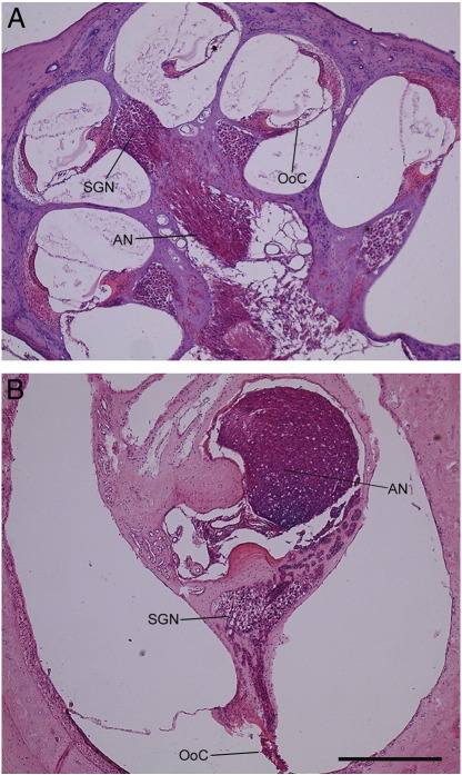 Supplementary Fig. 2