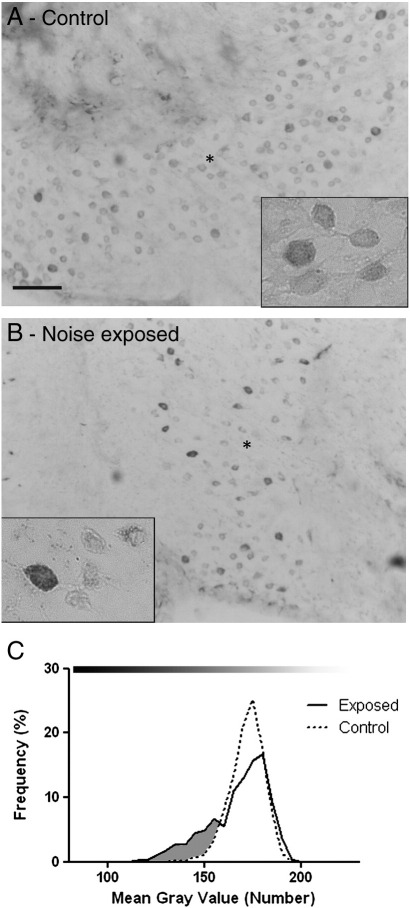 Fig. 8