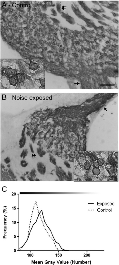 Fig. 7