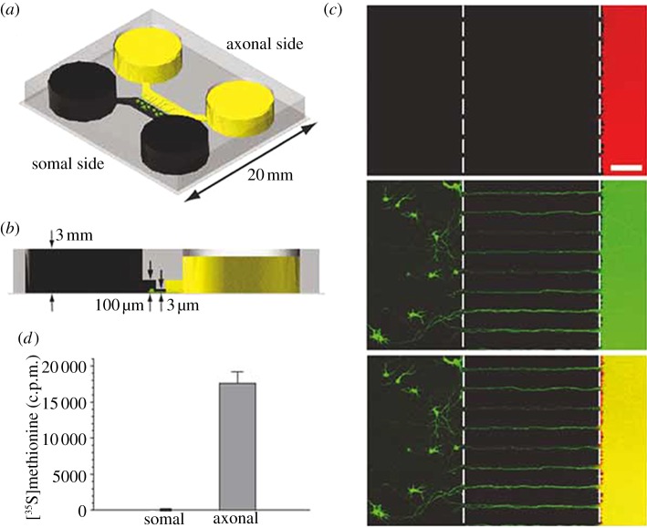 Figure 3.