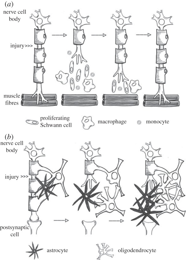 Figure 2.