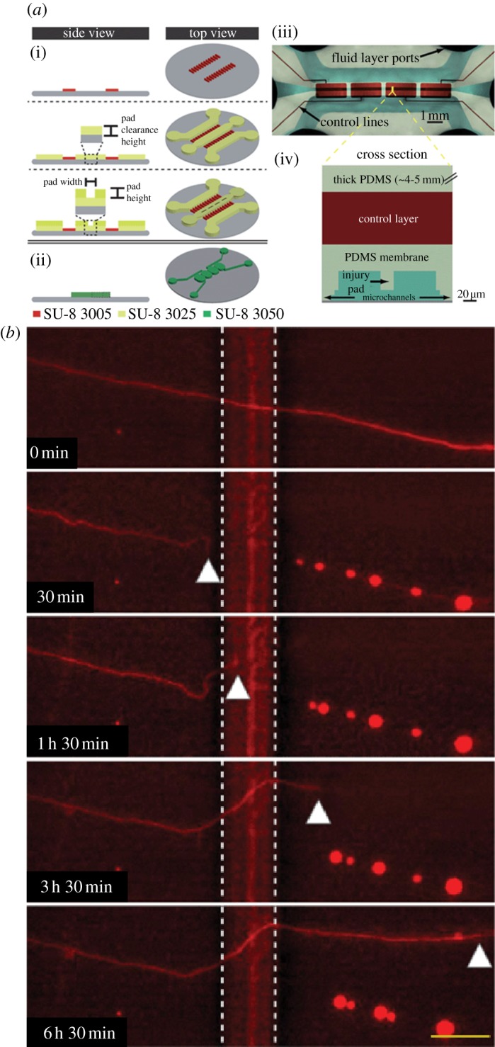 Figure 6.