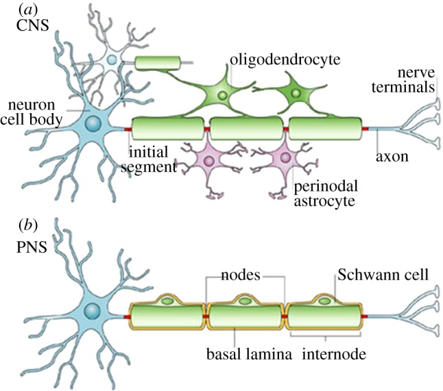 Figure 1.