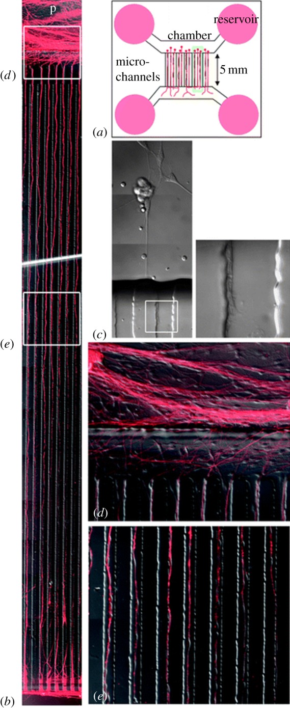 Figure 7.