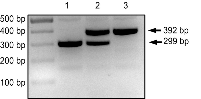 Fig. S1.