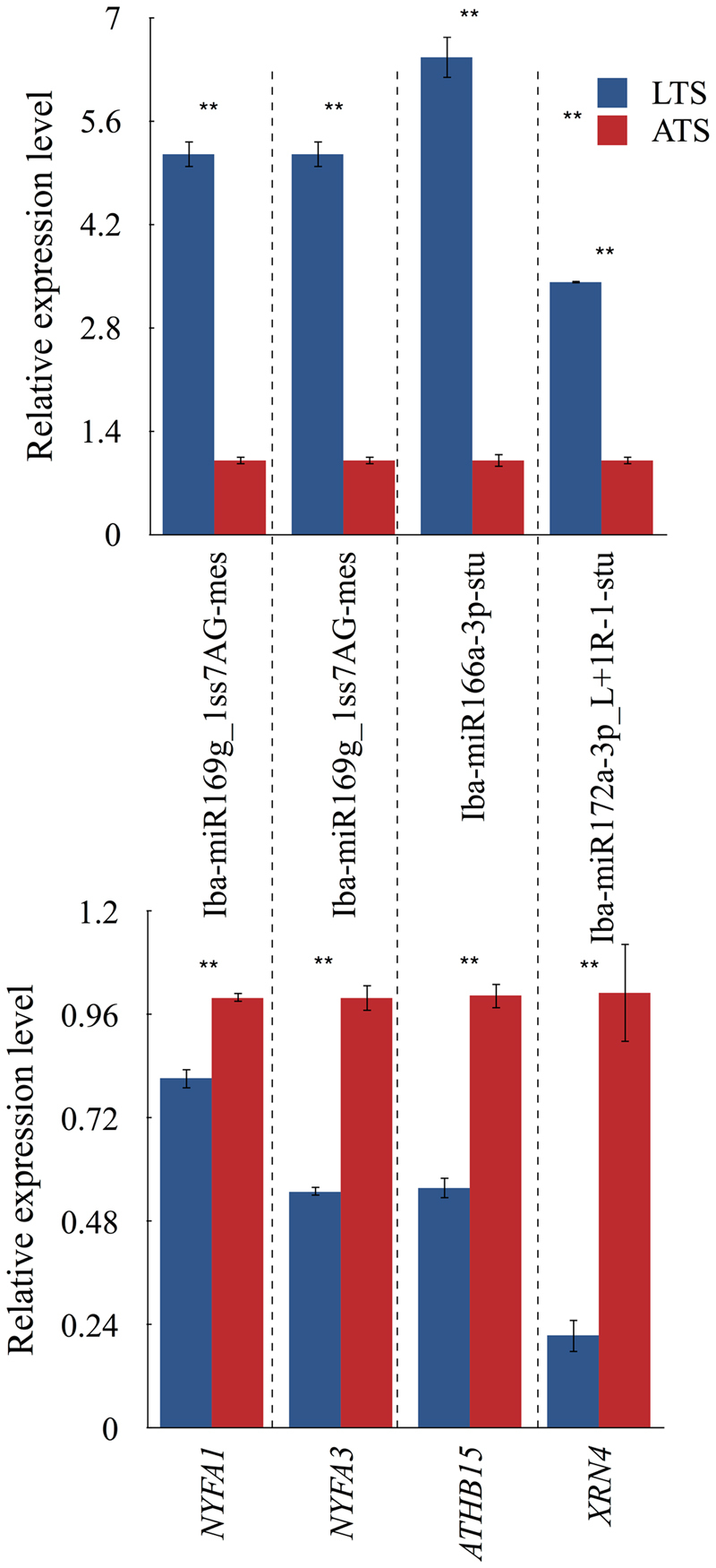 Figure 7