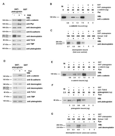 FIG. 5.