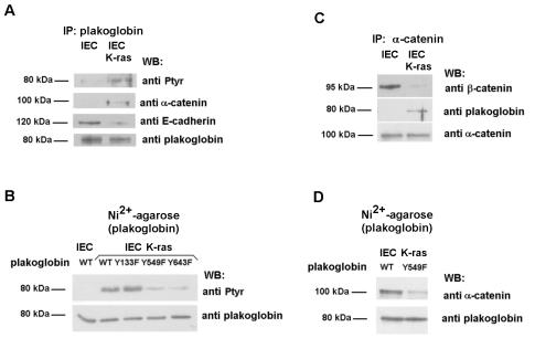 FIG. 9.