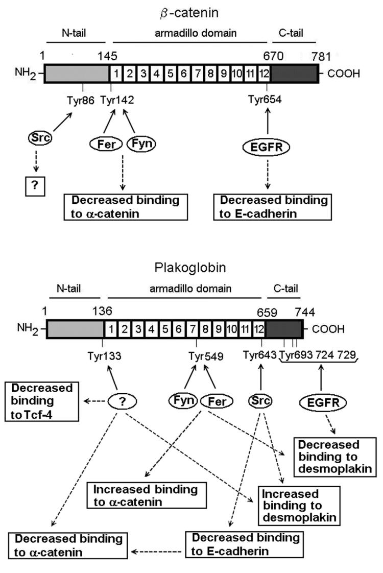 FIG. 11.