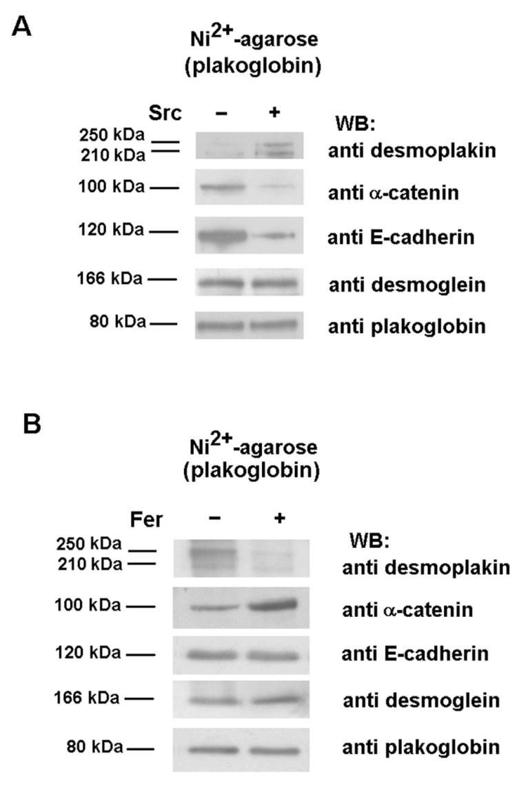 FIG. 7.