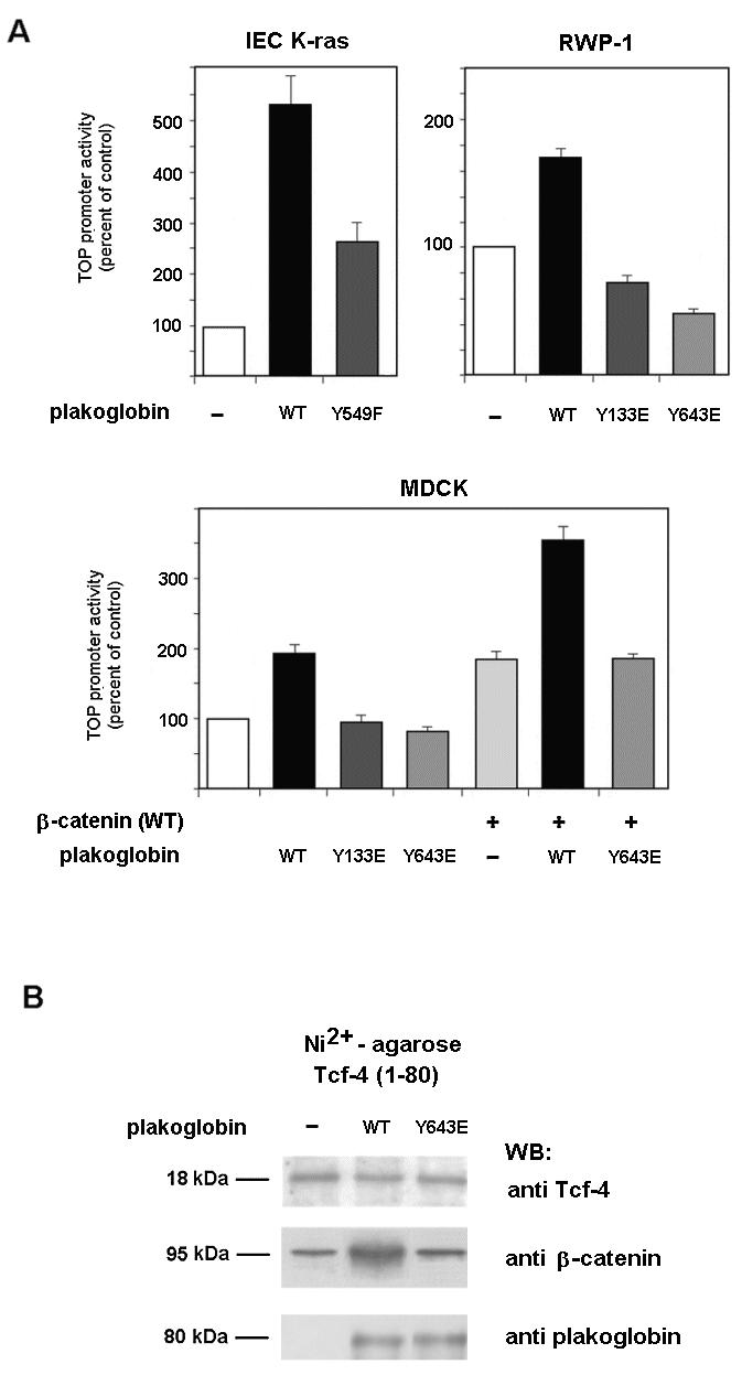 FIG. 10.