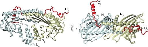 FIGURE 1.