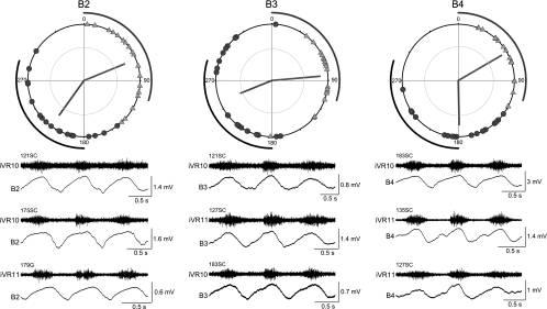 Fig. 10.