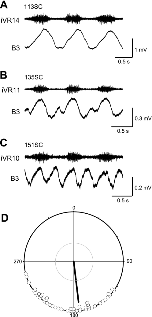 Fig. 3.