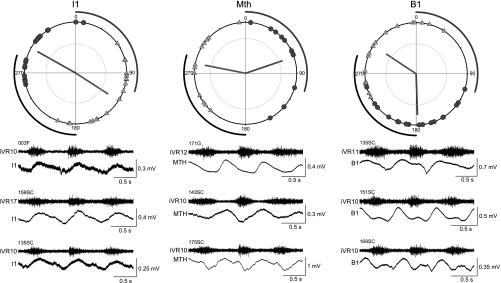 Fig. 9.