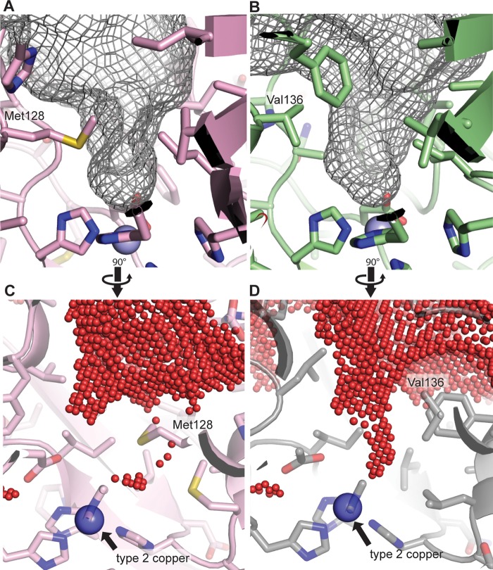 FIGURE 4.