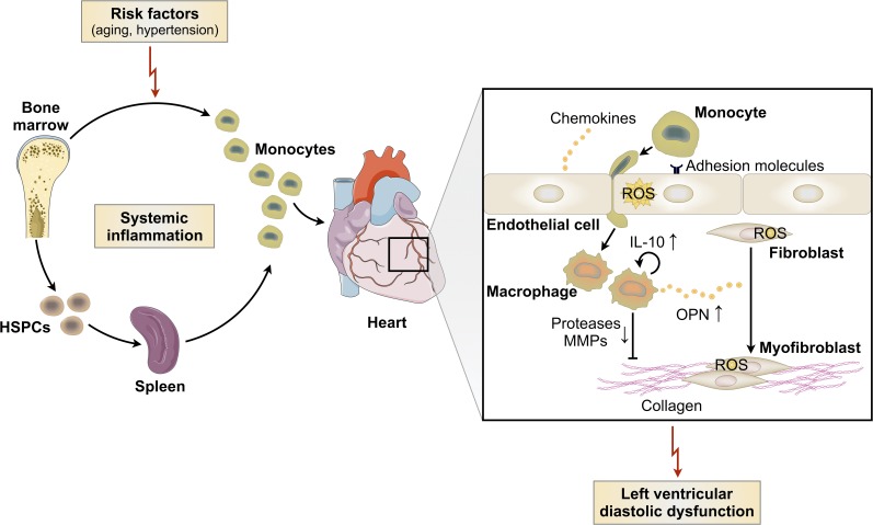 Figure 10.