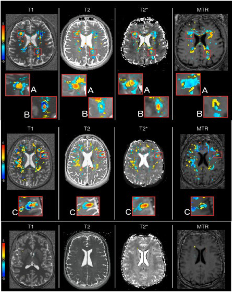 Fig. 10