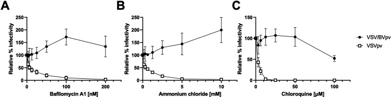 Graphs plot the relative infectivity of VSV BV pv and VSV pv with approximate decreases in increasing concentrations of bafilomycin, ammonium chloride, and chloroquine.