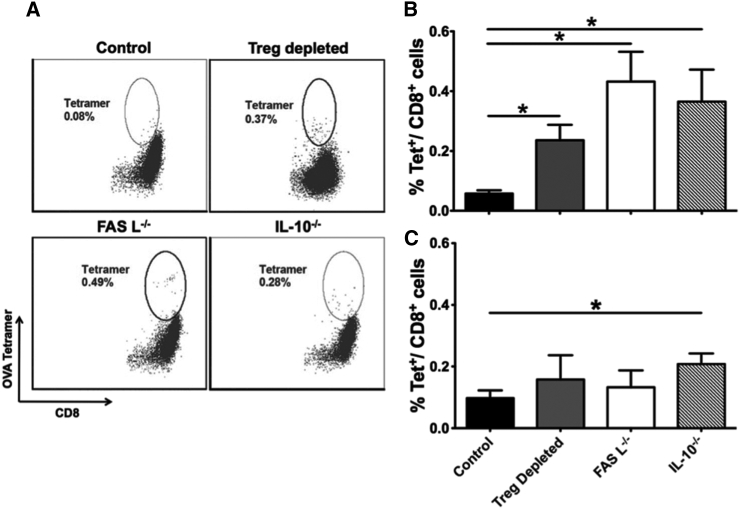 Figure 6