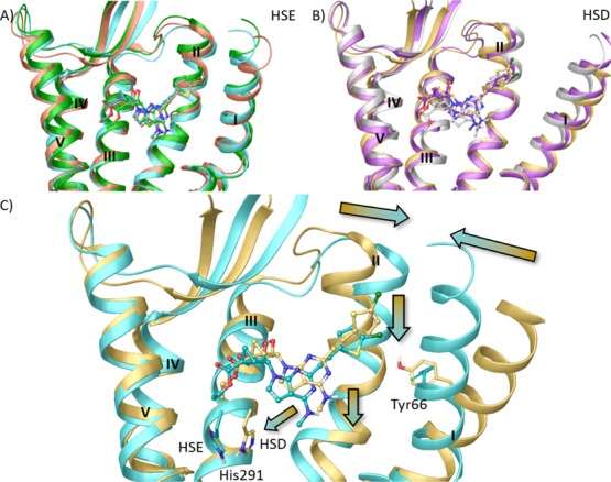 Figure 5