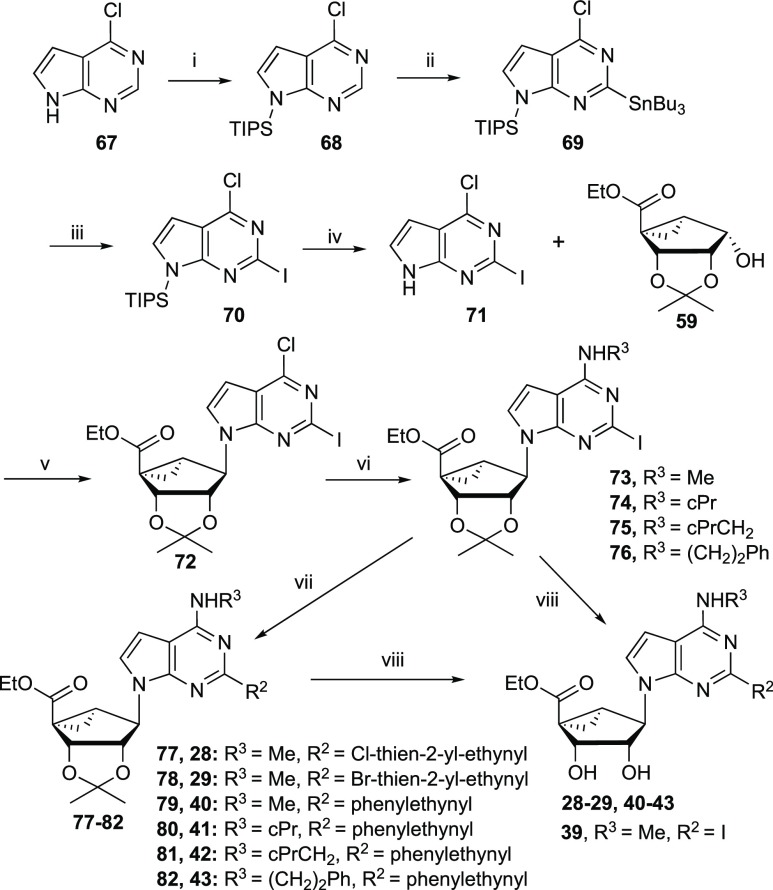 Scheme 1