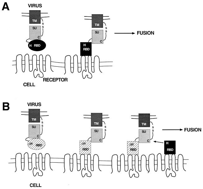 FIG. 6