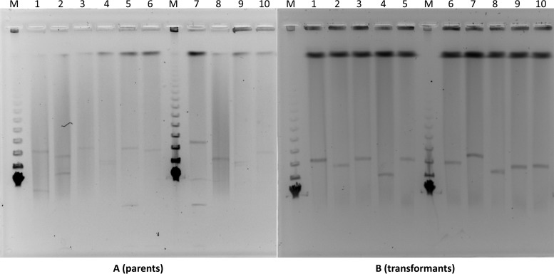 FIG 1