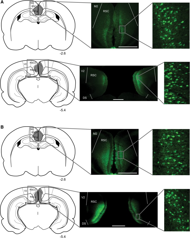 Figure 3.