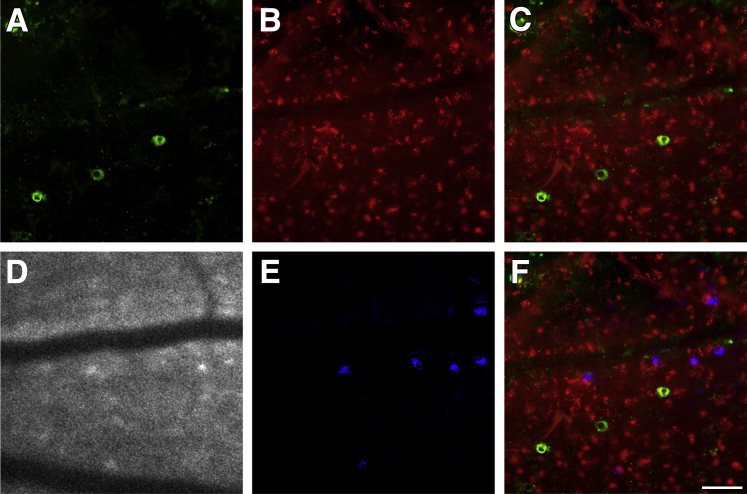 Figure 6