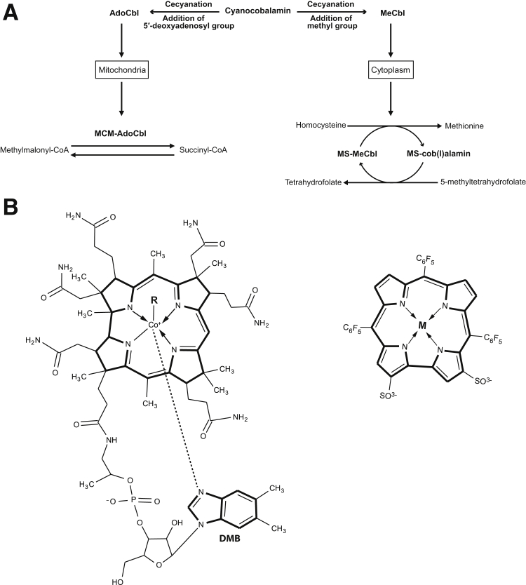 Figure 1