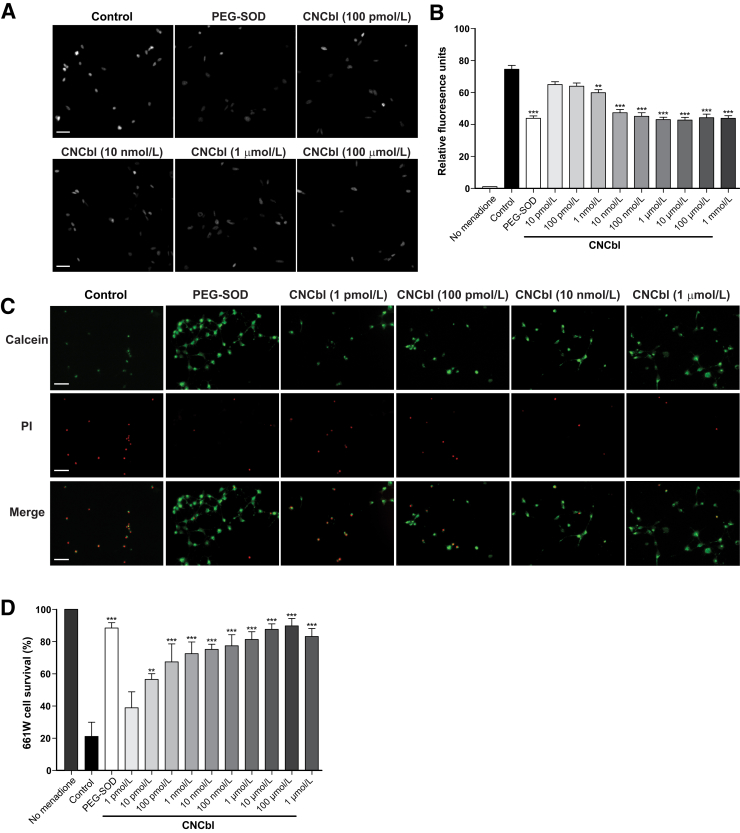 Figure 5