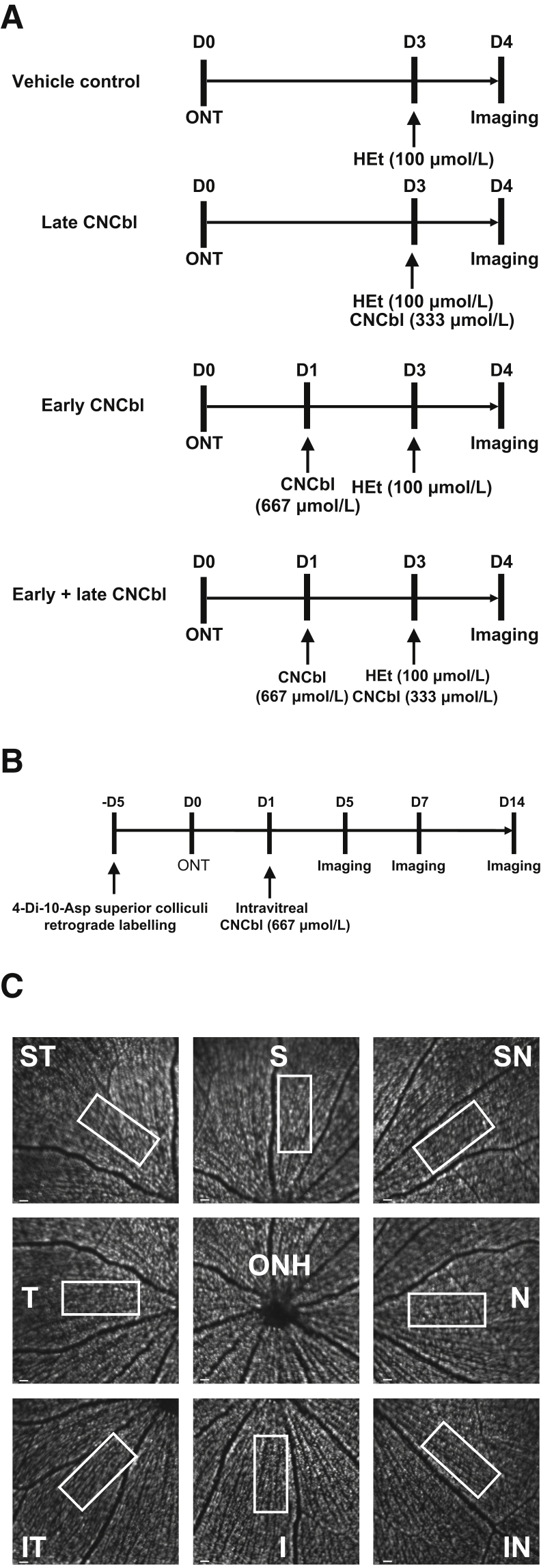 Figure 3