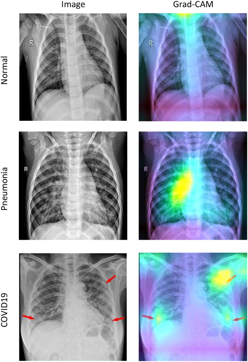 Fig. 6.