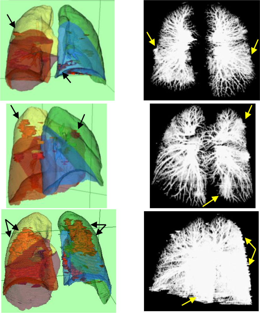 Fig. 9.