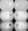 Fig. 2.