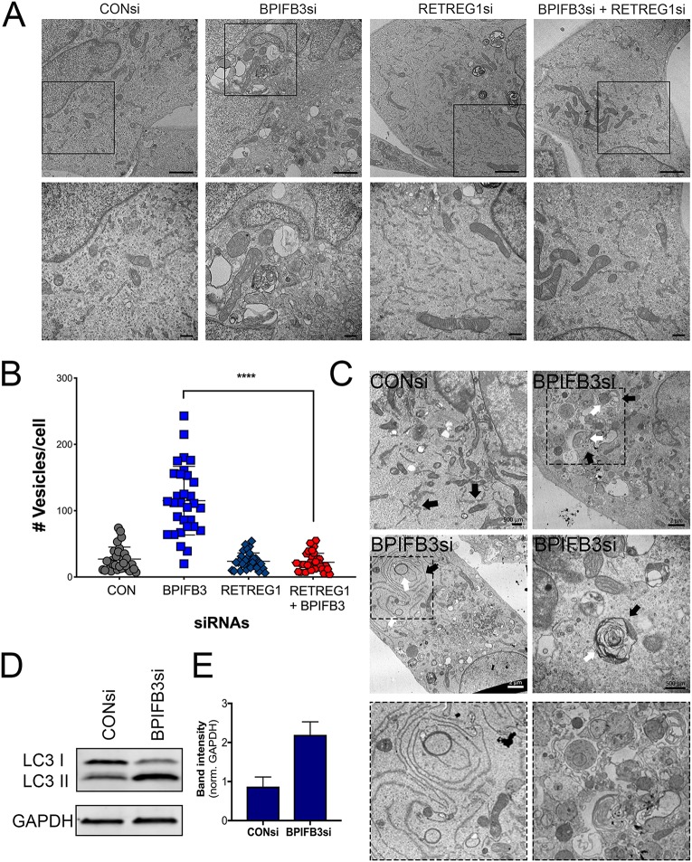 FIG 6