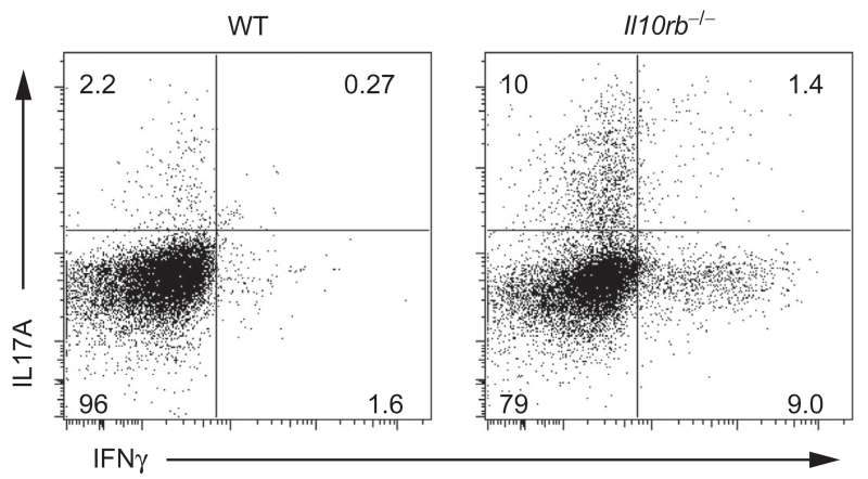 Figure 5.3