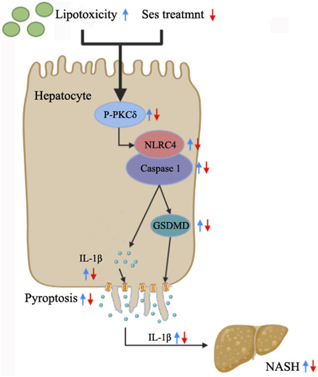 FIGURE 7