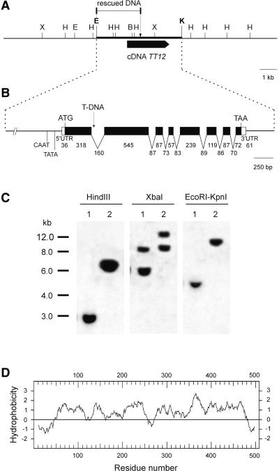 Figure 6.