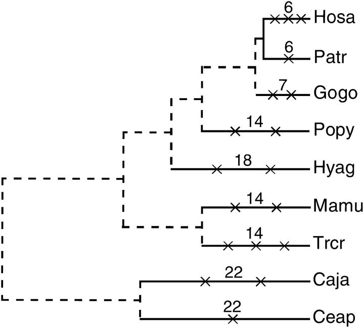 Figure 4.—