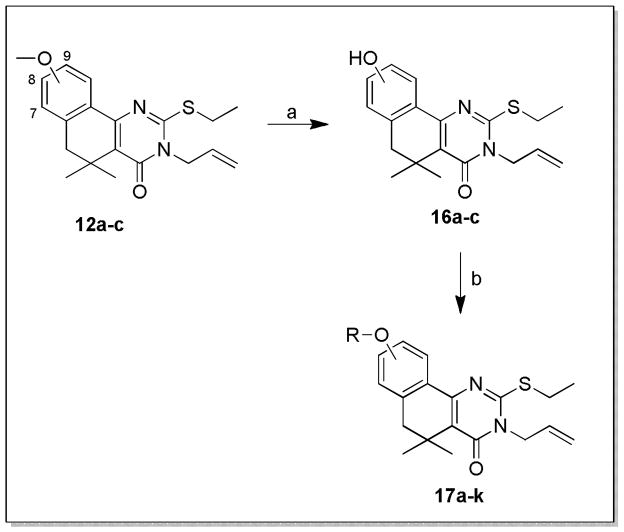 Scheme 3