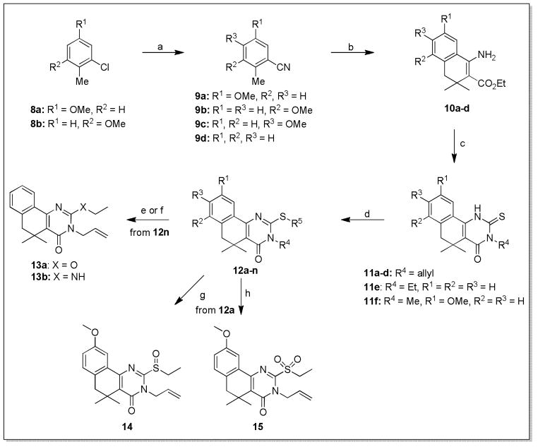 Scheme 5