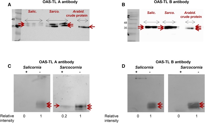 Figure 10.