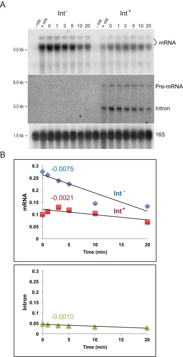 Figure 1—figure supplement 3.