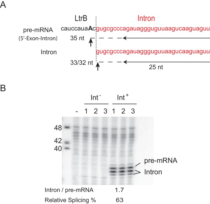 Figure 1—figure supplement 2.