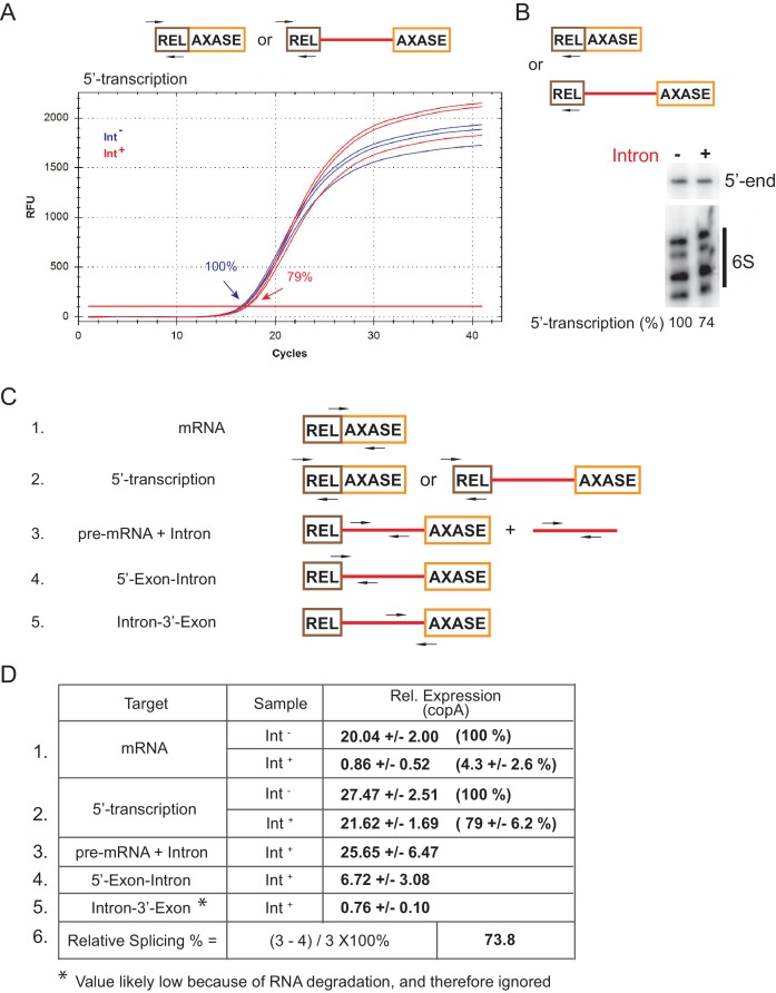 Figure 1—figure supplement 1.