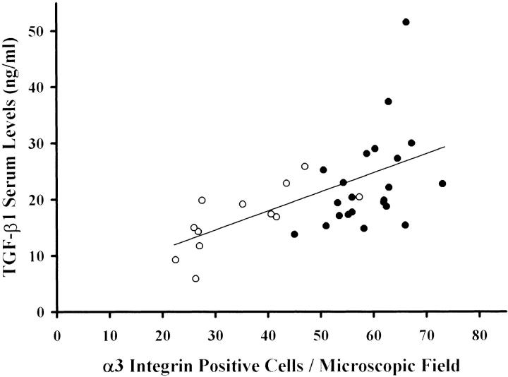 Figure 11.